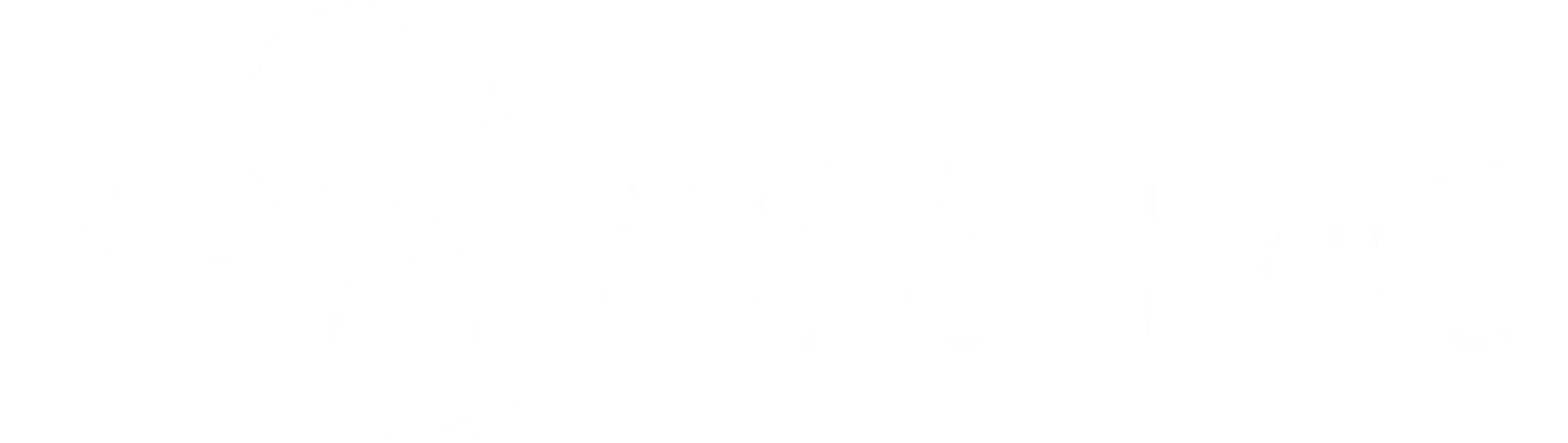 bravissimo white logo